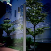 LX 4525-2 3mtr. Pole