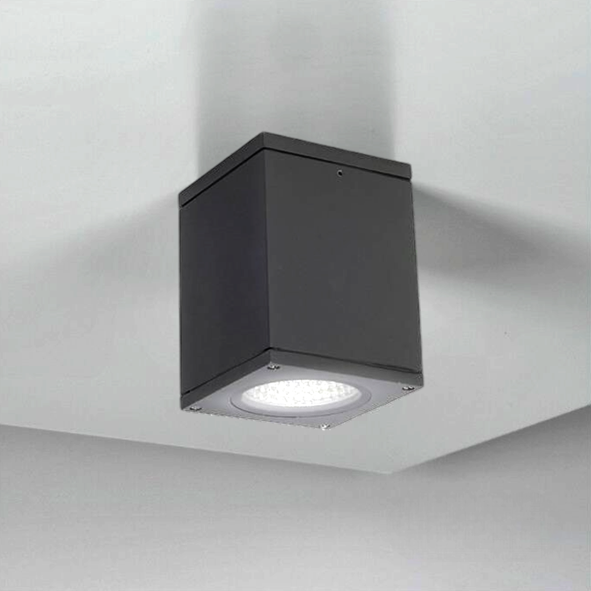 LX 880 Surface Sq.