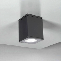 LX 880 Surface Sq.