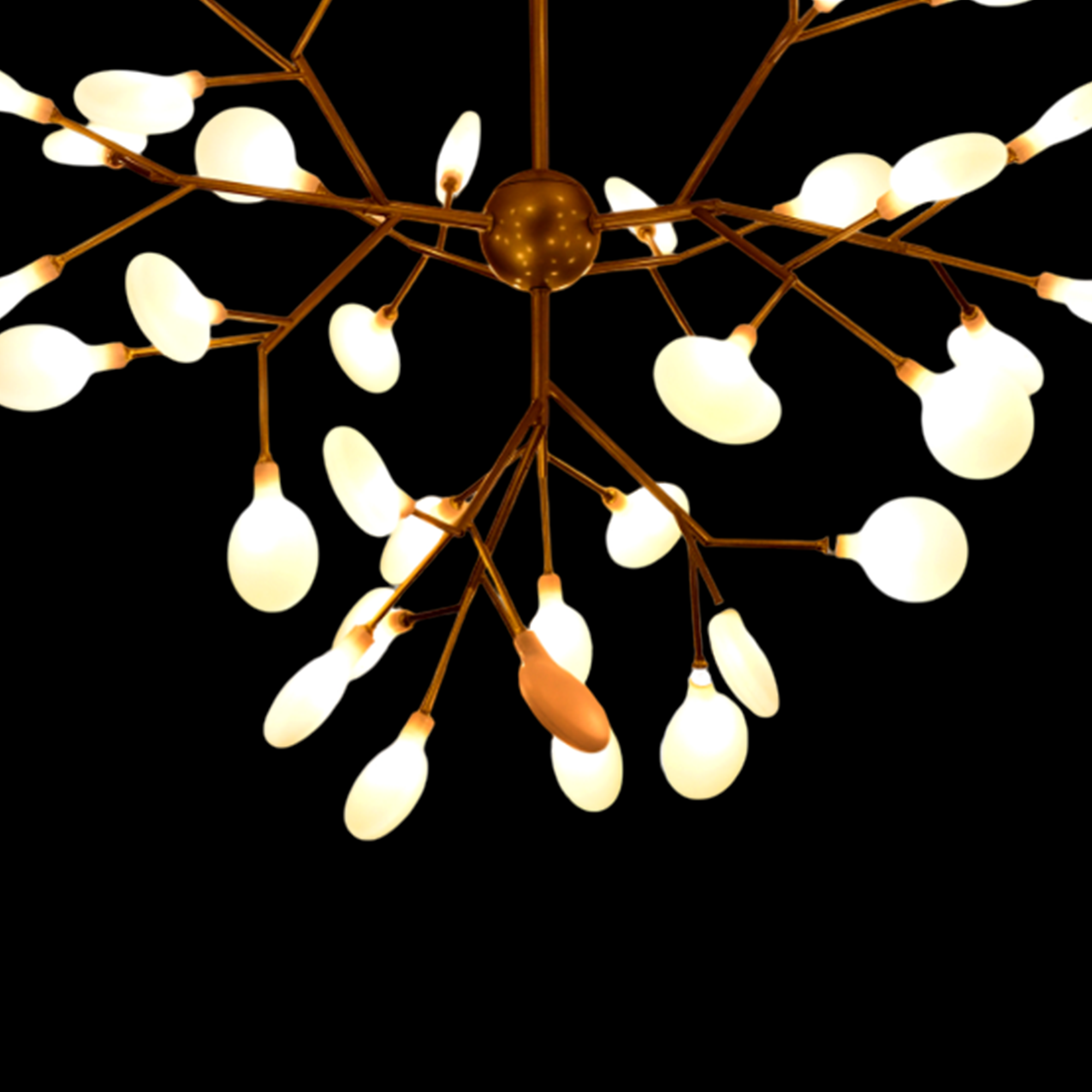 2101 / 36